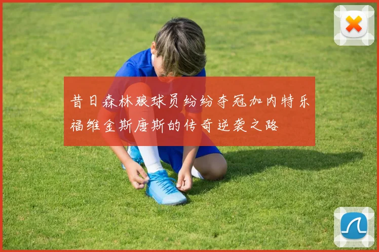 昔日森林狼球员纷纷夺冠加内特乐福维金斯唐斯的传奇逆袭之路