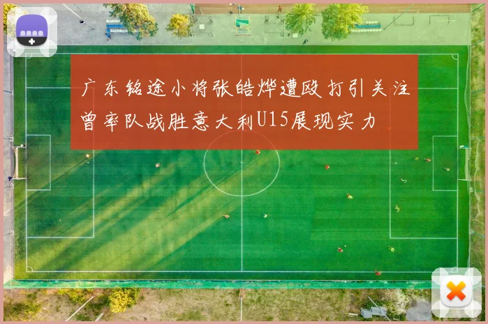 广东铭途小将张皓烨遭殴打引关注曾率队战胜意大利U15展现实力